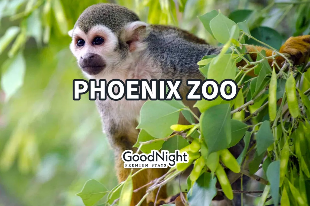 A playful scene featuring a squirrel monkey perched amidst dense, green foliage. The setting is vibrant and alive, inviting visitors to observe wildlife up close, making it ideal for family outings and educational moments for children.